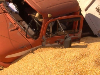 Caminhão tomba e carga de milho fica espalhada em canteiro de rodovia