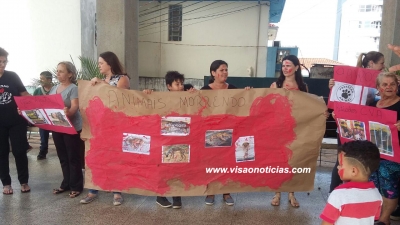 Prefeitura dialoga com ONGs protetoras de animais e promete ações 