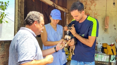 Doença do carrapato em Marília: moradores e Saúde adotam medidas preventivas