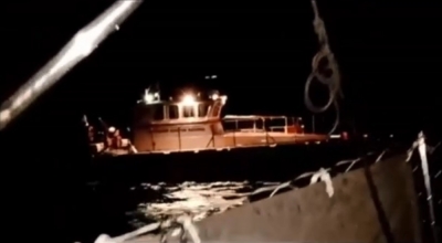 Casal da região fica à deriva após barco ser atacado por orcas em Portugal