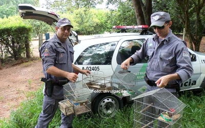 Caçada à pássaros rende multa de R$ 3,5 mil