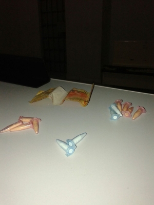 Polícia Militar faz diversas apreensões de drogas