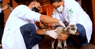 Unimar parabeniza a todos os médicos veterinários pelo seu dia 