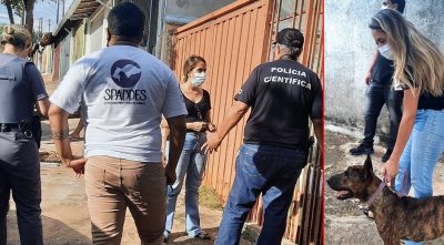 Animais vítimas de maus tratos são resgatados por ONG