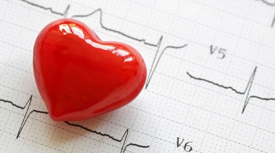 Dia Mundial do Coração: doenças cardiovasculares matam uma pessoa a cada 90 segundos no Brasil