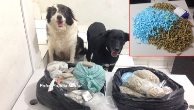 Tráfico: Oito pessoas são presas em operações da PM em Marília e região