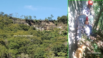 Bombeiros salvam cão que caiu em ribanceira na zona oeste de Marília