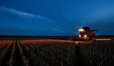 Exportações da agropecuária brasileira crescem 115% em novembro