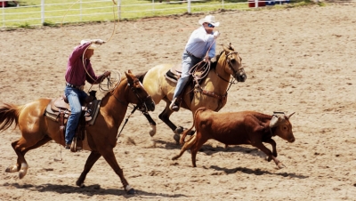 Rodeios: Procuradoria de Justiça consegue derrubar lei aprovada em Marília