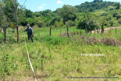 Cultivo de hortaliça em área irregular acaba em fiscalização