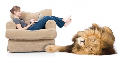 Imposto de Renda: Receita abre consulta ao lote residual de restituição nesta terça-feira