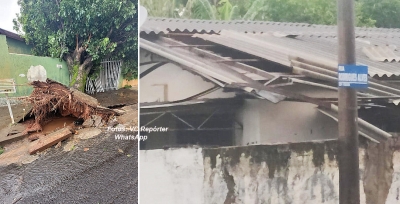 Temporal provoca queda de árvores, destelhamento e desabamento em Marília