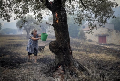 Portugal tem mil mortes relacionadas ao calor