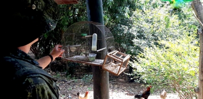 Criador de pássaros é multado em mais de R$ 10 mil, em Garça