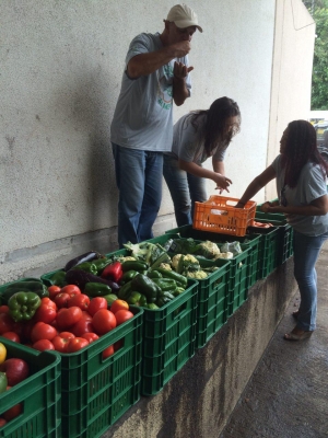 Projeto reaproveita alimentos para pessoas carentes