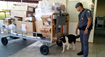 Polícias intensificam fiscalização no aeroporto