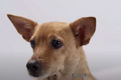 Vira-lata caramelo lança campanha da nota de R$ 200