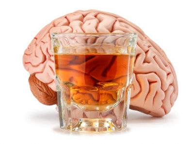 Álcool X Cérebro: Novo estudo aponta que consumo exagerado de álcool inflama o cérebro