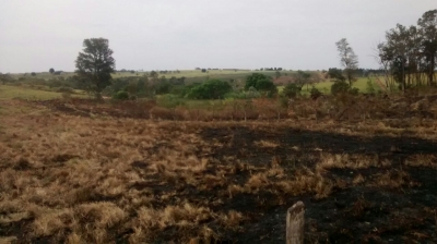 Satélite ajuda Polícia Ambiental à localizar queimadas