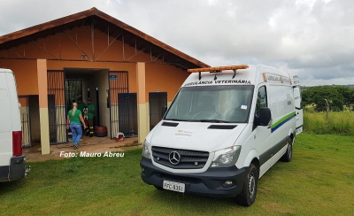 Prefeitura realiza mutirão de castração de cães e gatos em Marília
