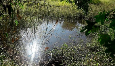 Projeto Nascentes recupera 35 olhos d’água no primeiro ano em Marília