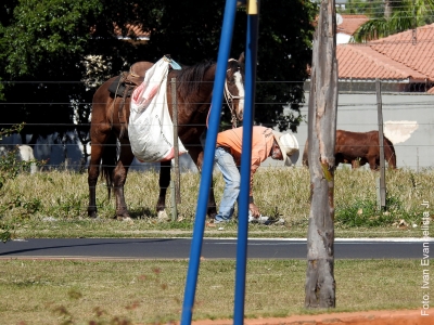 De cartão postal, avenida Cascata em Marília vira depósito de lixo