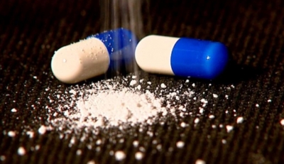 Auditora considera irregular pesquisa da pílula do câncer