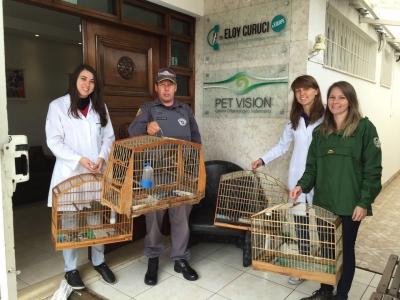 Policiais Militares de Marília transportam pássaros para cirurgia em São Paulo