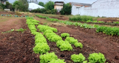 Prefeitura implanta projeto piloto “Boa Horta” no bairro Teotônio Vilela