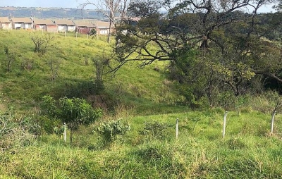 Prefeitura de Marília quer recuperar nascentes e busca parceiros