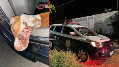 Rapaz é preso em flagrante acusado de maus tratos contra animal em Marília