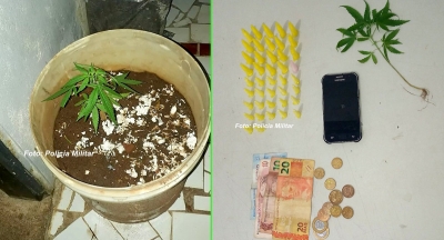 Homem planta a própria maconha, mas acaba preso pela PM