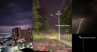 Temporal causa destelhamentos, quedas de árvores e prejudica abastecimento em Marília