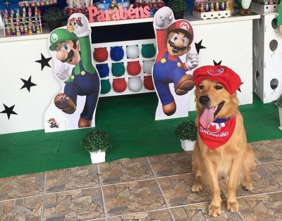 Cachorro ganha festa de R$ 5 mil com bolo, coxinha e brigadeiro caninos