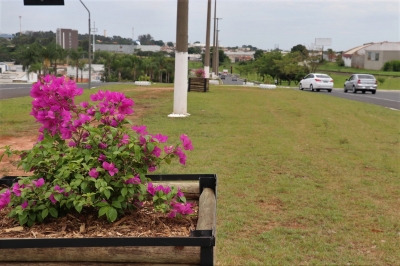 Prefeitura investe em projeto paisagístico sustentável na avenida Sanches Cibantos