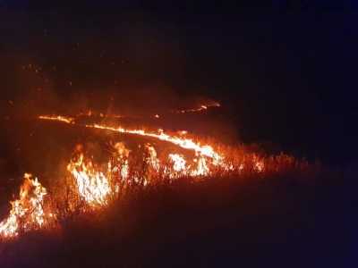 Fogo consome pastagem e vegetação natural na região