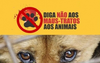 Mulher é autuada por maus tratos a animais na zona norte
