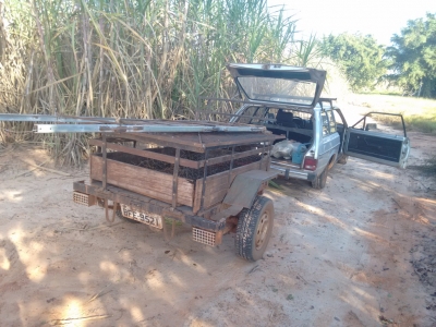 Polícia flagra caçadores e interrompe queimadas