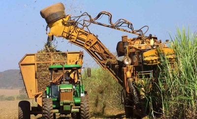 Produção brasileira de cana-de-açúcar pode chegar a 646 milhões de toneladas