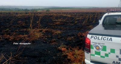 Queima de área sem licença ambiental gera multa da Polícia Ambiental