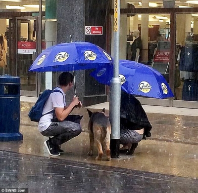 Casal fica ensopado ao proteger cachorro amarrado em um poste na chuva