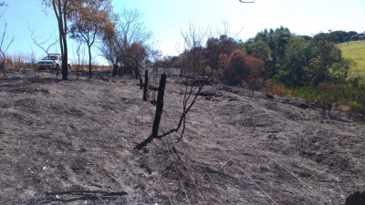 Usina na região recebe multa por queimada