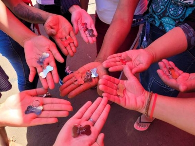 7 mil animais domésticos serão castrados para prevenir acidentes em rodovias