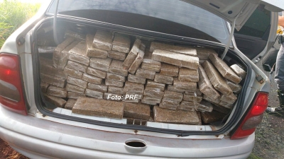 Operação da PRF apreende mais de 360 kg de maconha na região