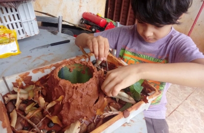 Em apenas uma semana, 