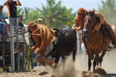 Senado aprova vaquejada como patrimônio cultural imaterial e projeto vai à sanção