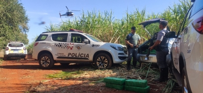 Polícia Rodoviária apreende quase uma tonelada de maconha