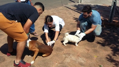 Medicina Veterinária da Unimar promove a saúde pública em parcerias com prefeituras