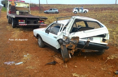 Movimento nas estradas aumenta e polícia alerta para o perigo de acidentes com animais