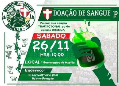 Palmeirenses em Marília torcem pelo título e fazem campanha de doação de sangue